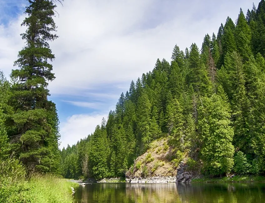 /wp-content/uploads/2020/05/Idaho-Content_Page_4-1024x785.jpg